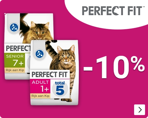 Perfect Fit -10% CAT